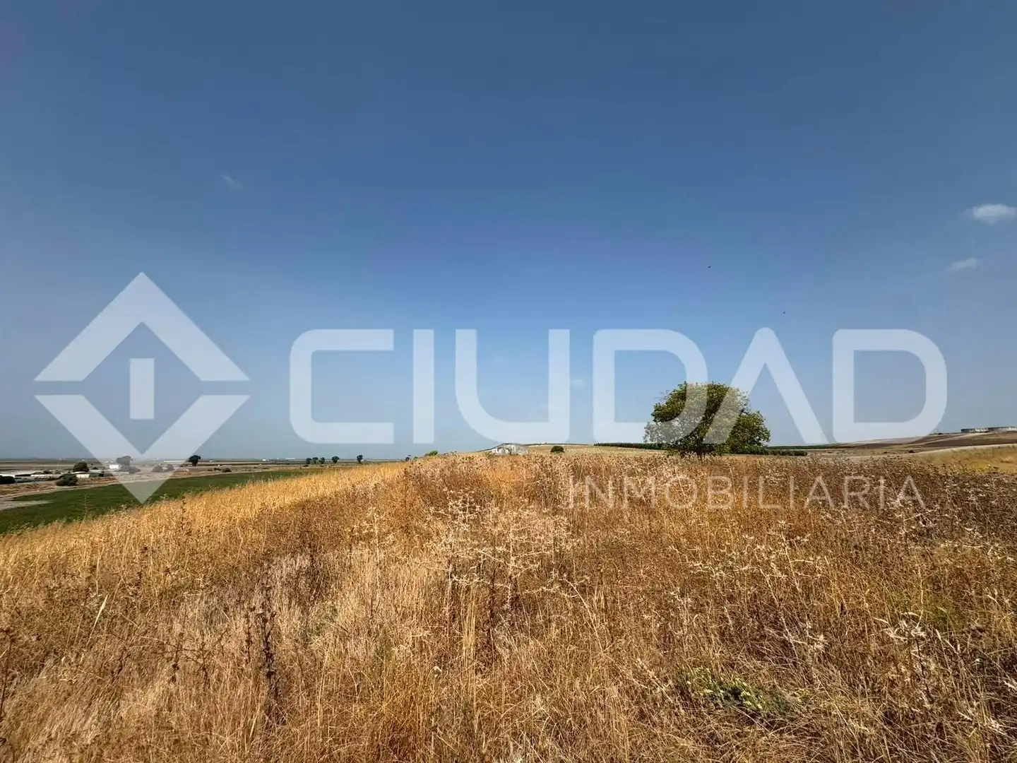 Lands and plots for sale in Lebrija, imagen 5