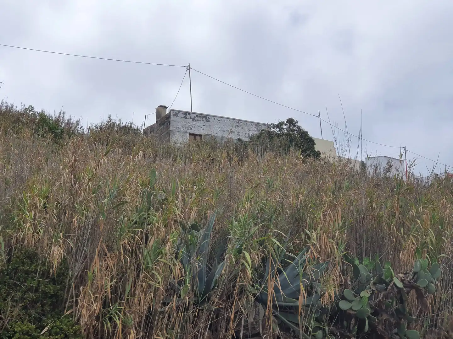 Residencial en venda a Moya (Las Palmas), Las Palmas