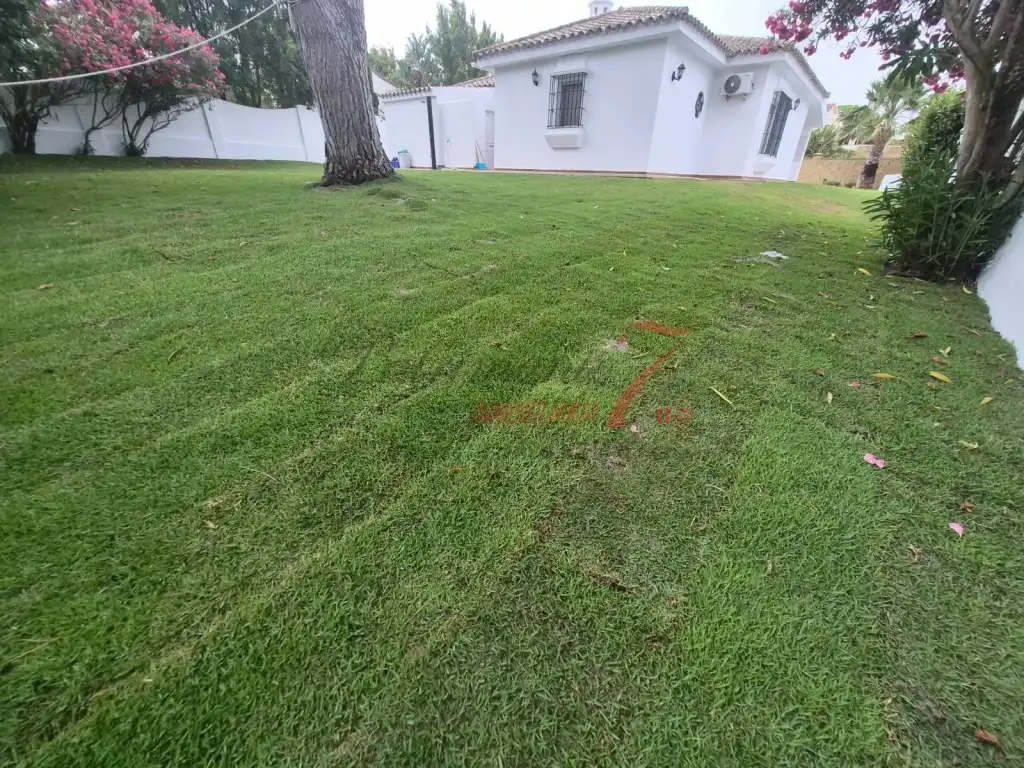 Houses for rent in El Puerto de Santa María