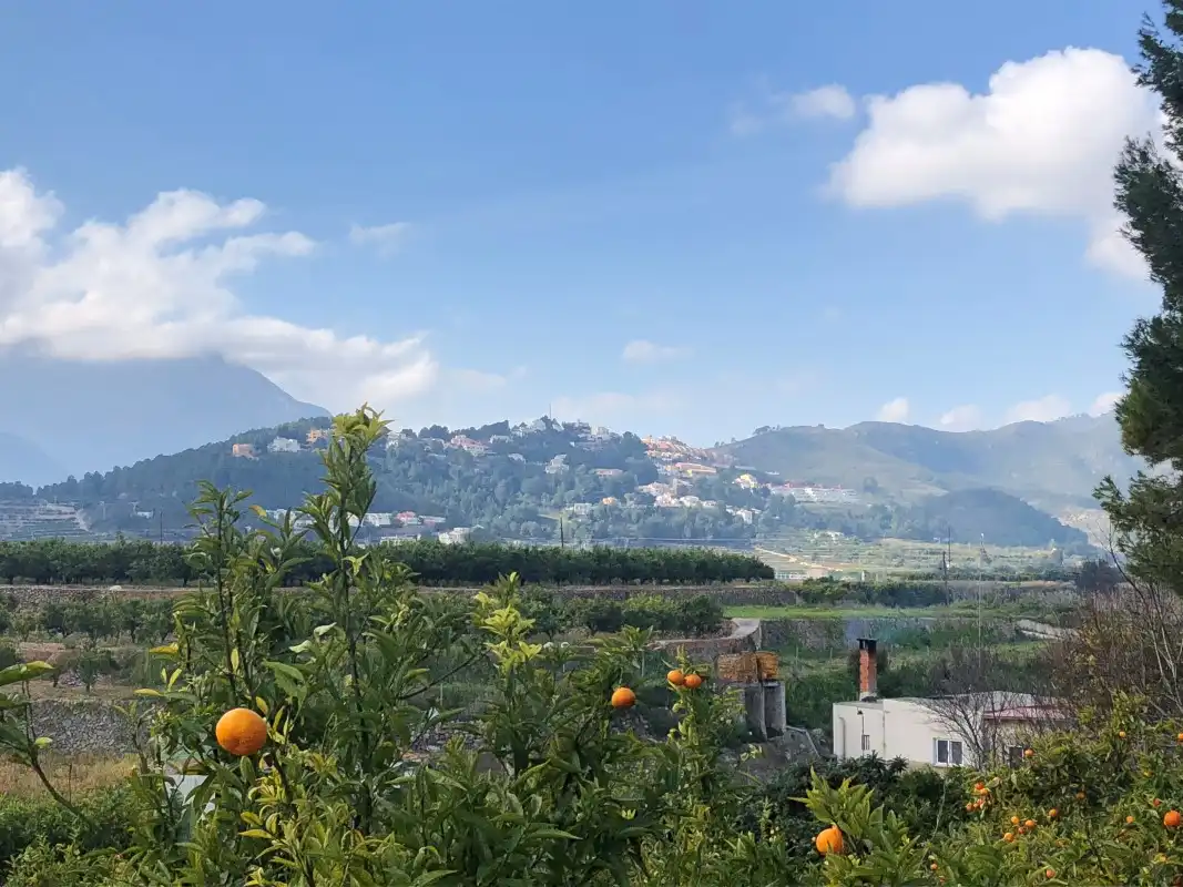 Vista exterior de Finca rústica en venda en Vilallonga / Villalonga