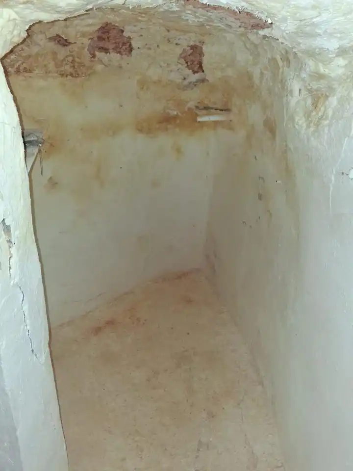 Haus zum Verkauf in Flor 10, imagen 23