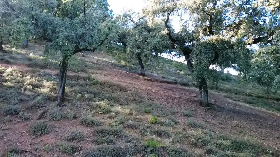 Terrenos y solares en venta en Dehesa 8, imagen 2