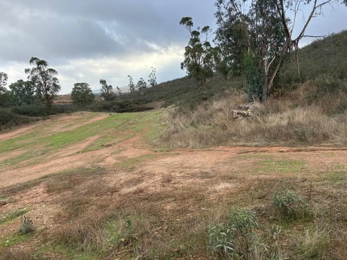 Terreni e lotti in vendita a Puebla de Guzmán, imagen 11