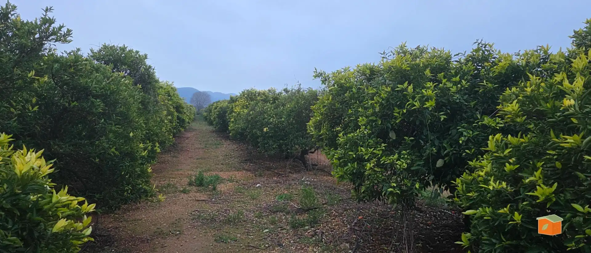 Rural land for sale in Masdenverge, imagen 5