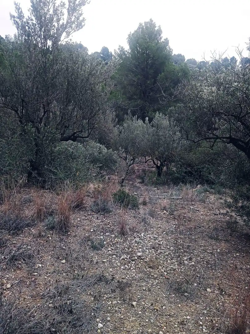 Land for sale in Olesa de Montserrat