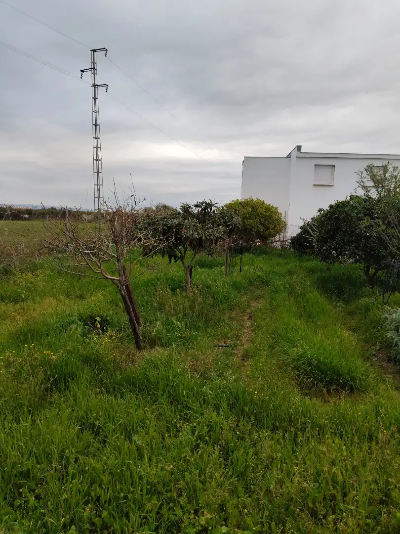 Terreno rustico in vendita a Alcalá del Río, imagen 2