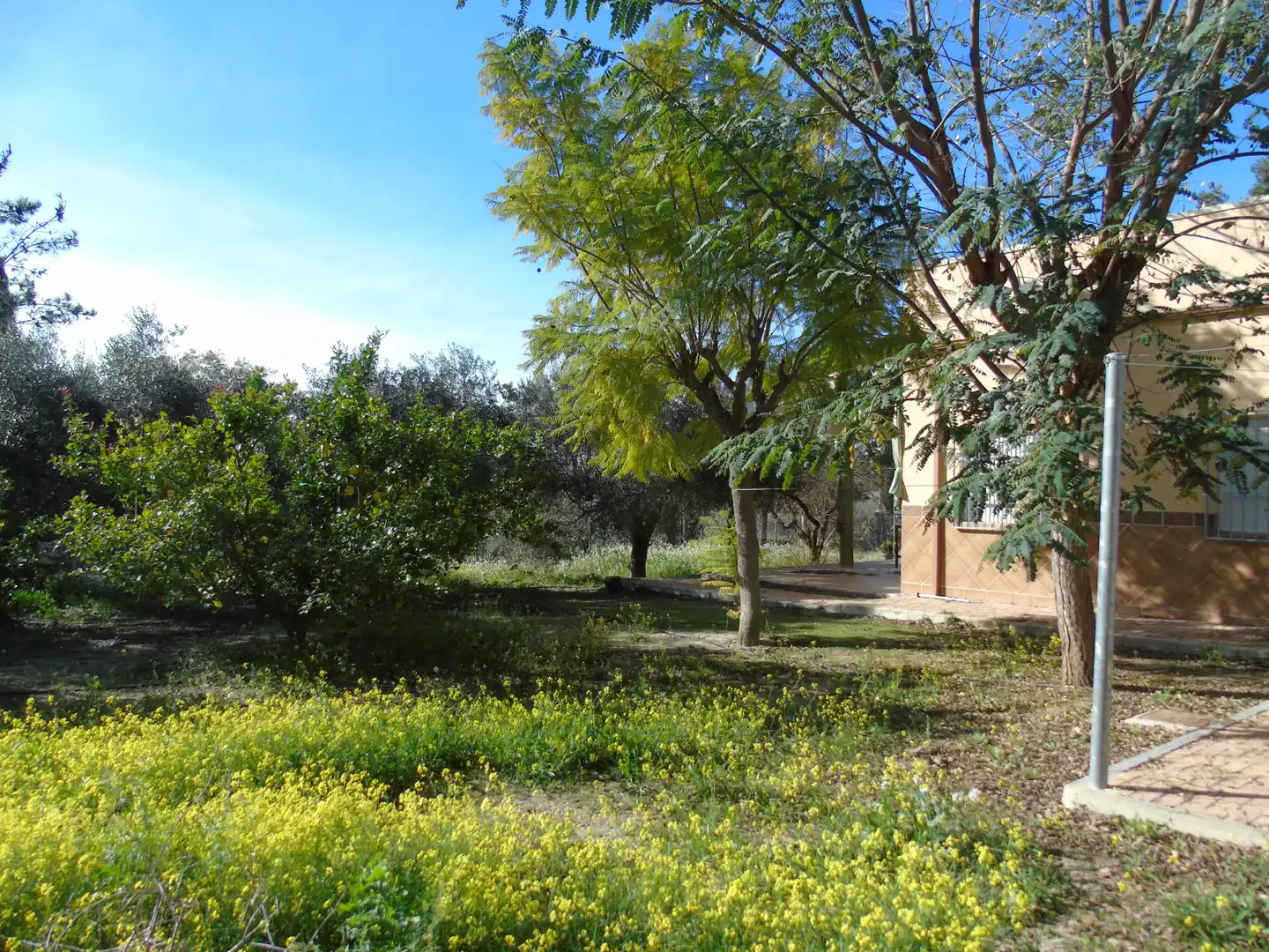 Jardín de Finca rústica en venta en Molina de Segura con Aire acondicionado, Jardín privado y Amueblado