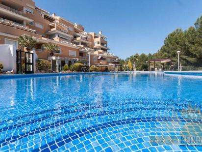 Swimming pool of Planta baja for sale in Molina de Segura  with Air Conditioner and Terrace