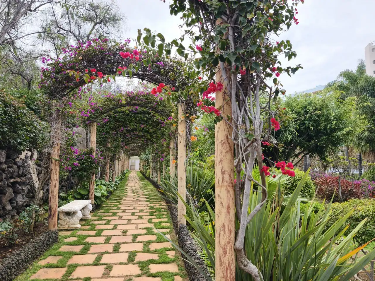 Jardí de Estudi en venda en Los Realejos amb Piscina i Moblat