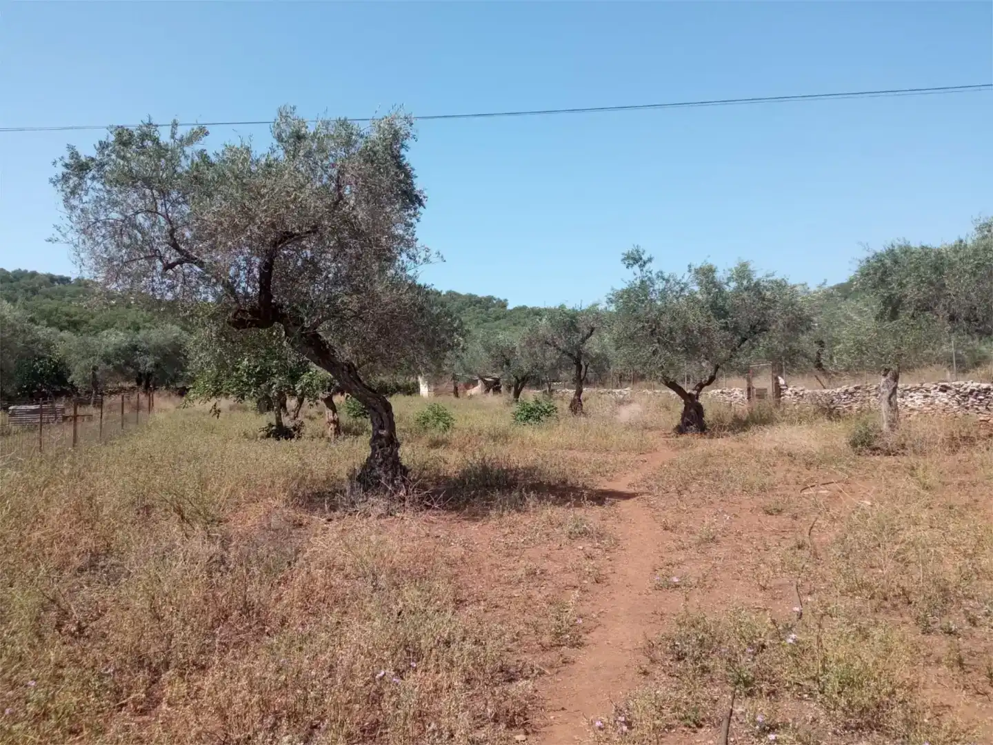 Finca rústica en venda en Corteconcepción amb Jardí privat