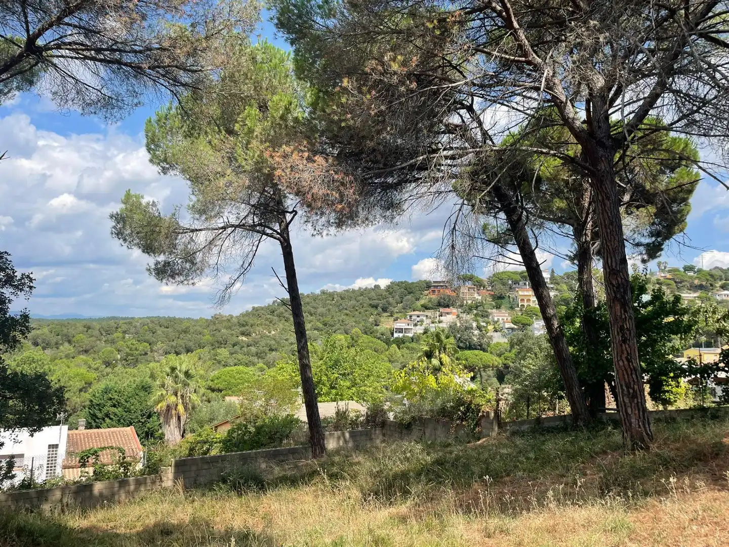 Terreno residencial en venta en Mas Mora - Sant Daniel, imagen 16