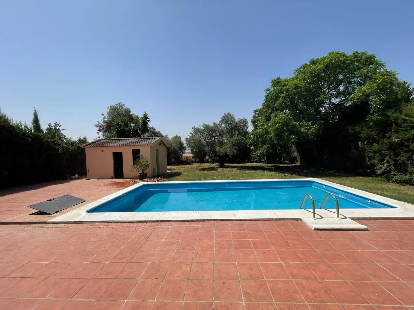 Piscina de Casa o chalet en venta en Palomares del Río con Jardín privado, Piscina y Amueblado