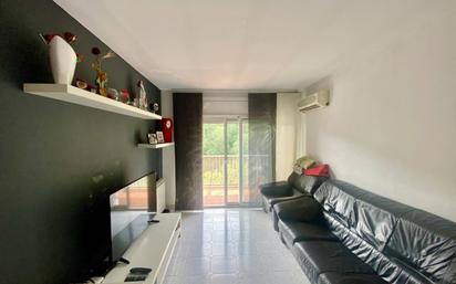 Living room of Flat for sale in Castellfollit de la Roca  with Air Conditioner and Balcony