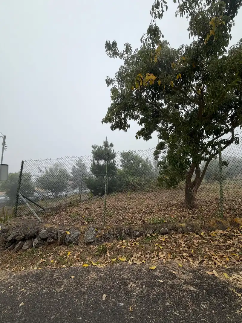 Terreno rustico in vendita a El Bebedero - Pinolere - Aguamansa, imagen 18