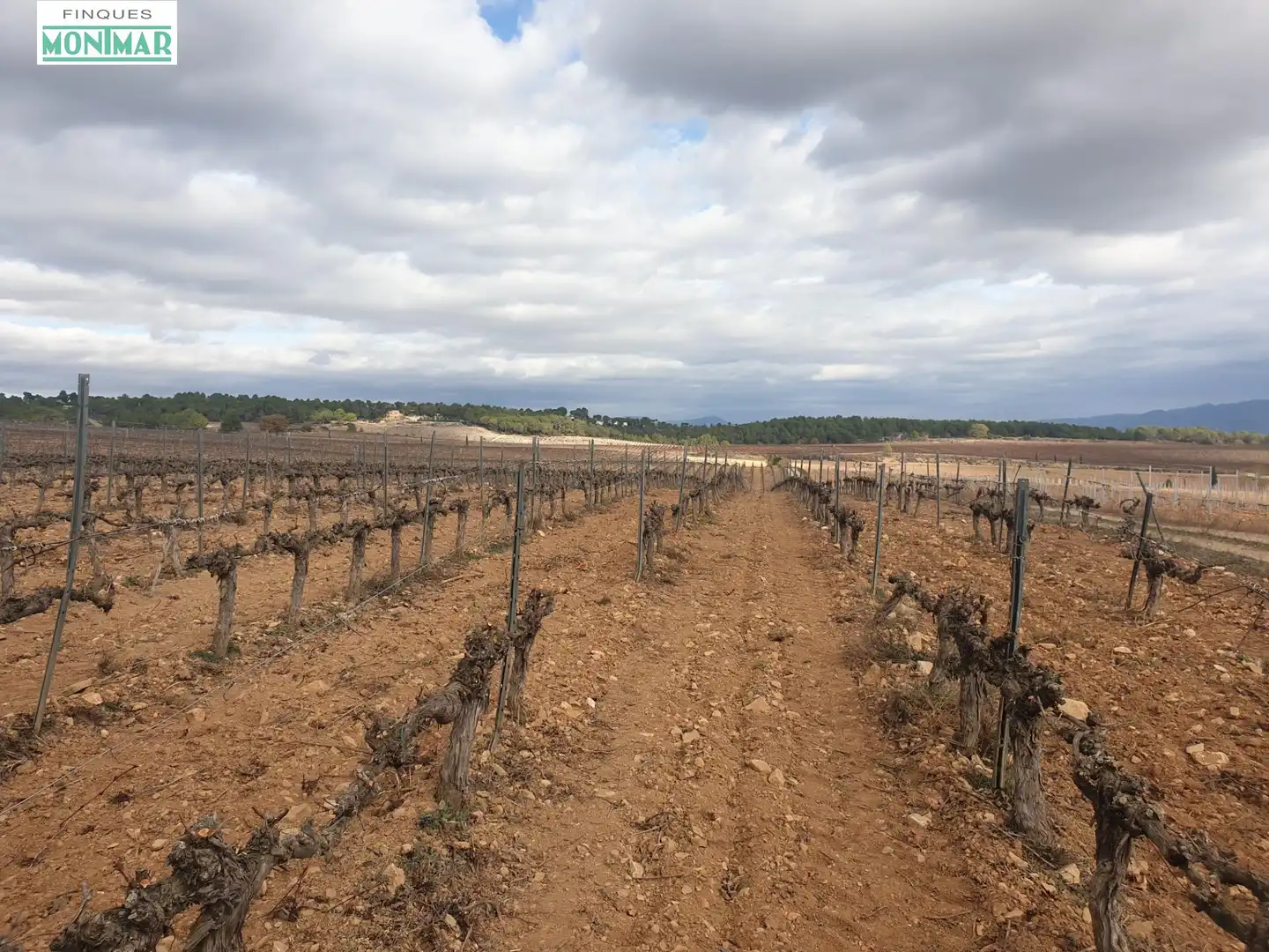Finca rústica en venda en Vilafranca del Penedès