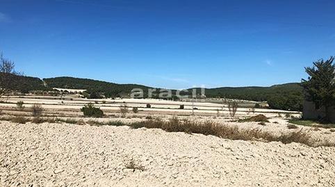 Foto 4 de Finca rústica en venda a Centre - Zona Alta, Alicante