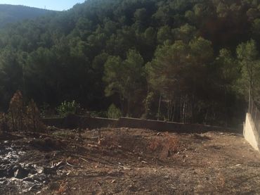 Terreny residencial en venda a Del Fonoll 34