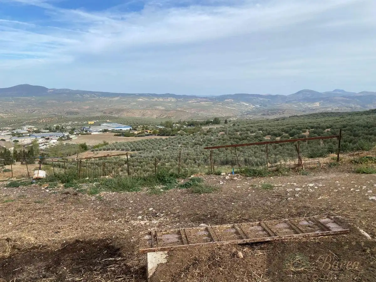 Nave industrial en venta en Rute
