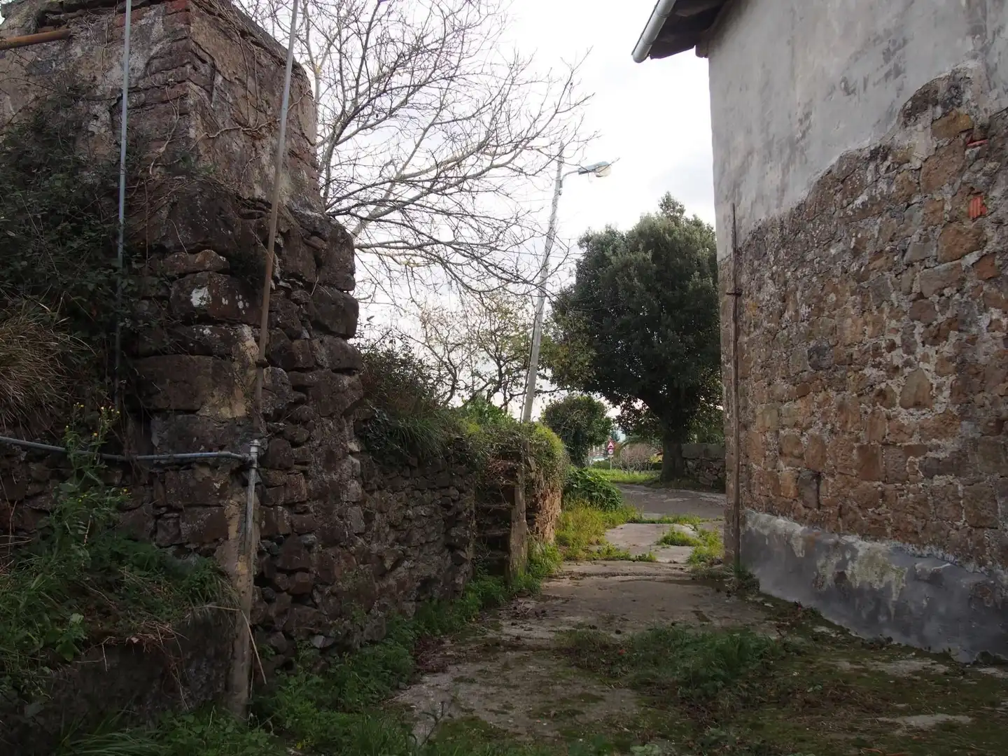 Vista exterior de Finca rústica en venta en Mendexa con Jardín privado