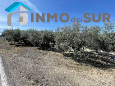 Terreno rustico in vendita a Cuesta Via Verde