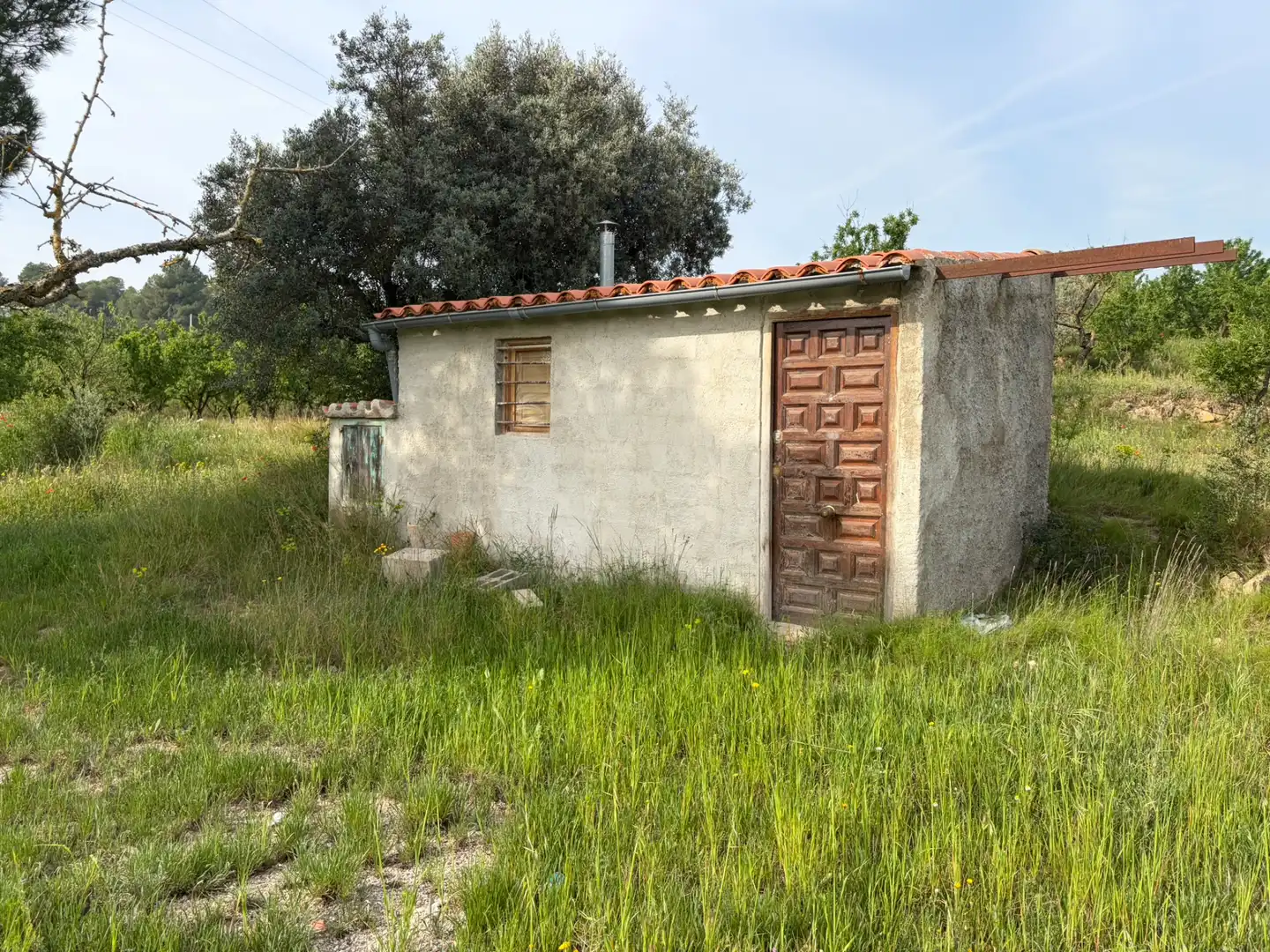 Terreno rustico in vendita a Ascó