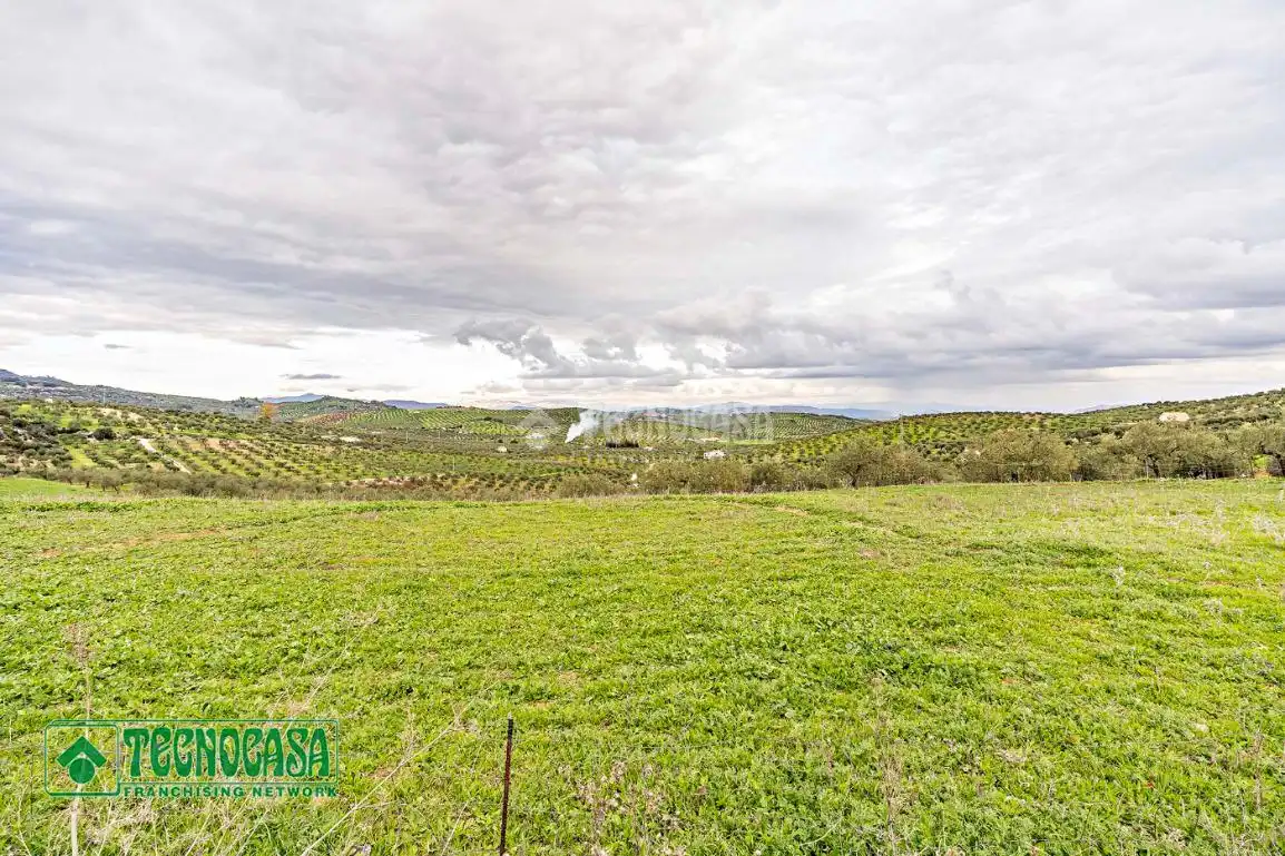 Rural land for sale in Alozaina, imagen 3