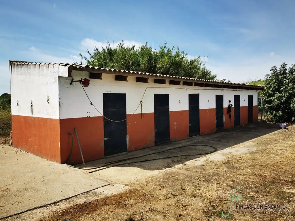 Exterior view of Country homes for sale in Cartaya  with Air Conditioner, Private garden and Terrace