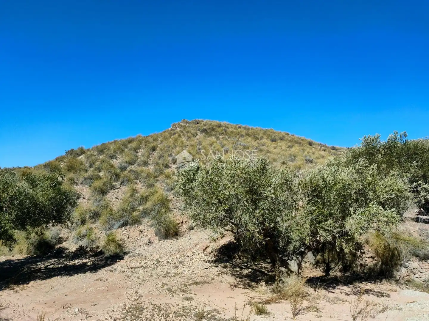 Lands and plots for sale in Abanilla, imagen 2
