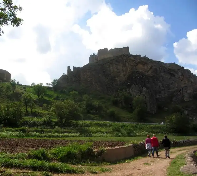 Garden of Country homes for sale in Bijuesca