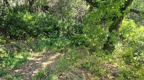 Foto 5 de Residencial en venta en Les Planes, Sant Cugat del Vallès