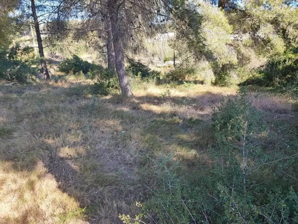 Terreno residencial en venta en Calle Ceps Dels, imagen 4