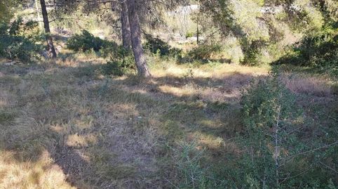 Foto 4 de Residencial en venta en Calle Ceps Dels, Els Pallaresos, Tarragona