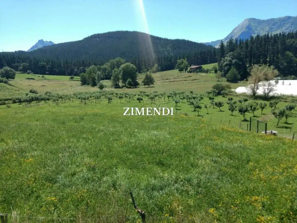 Terreno rustico in vendita a Abadiño, imagen 4