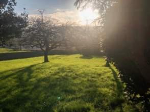 Photo 4 of Single-family semi-detached to rent in Deva, Gijón