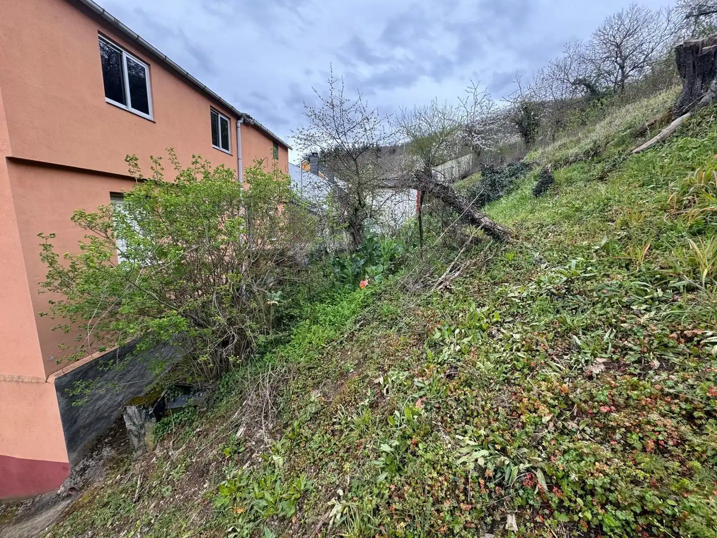Finca rústica en venda en Priaranza del Bierzo amb Calefacció i Jardí privat