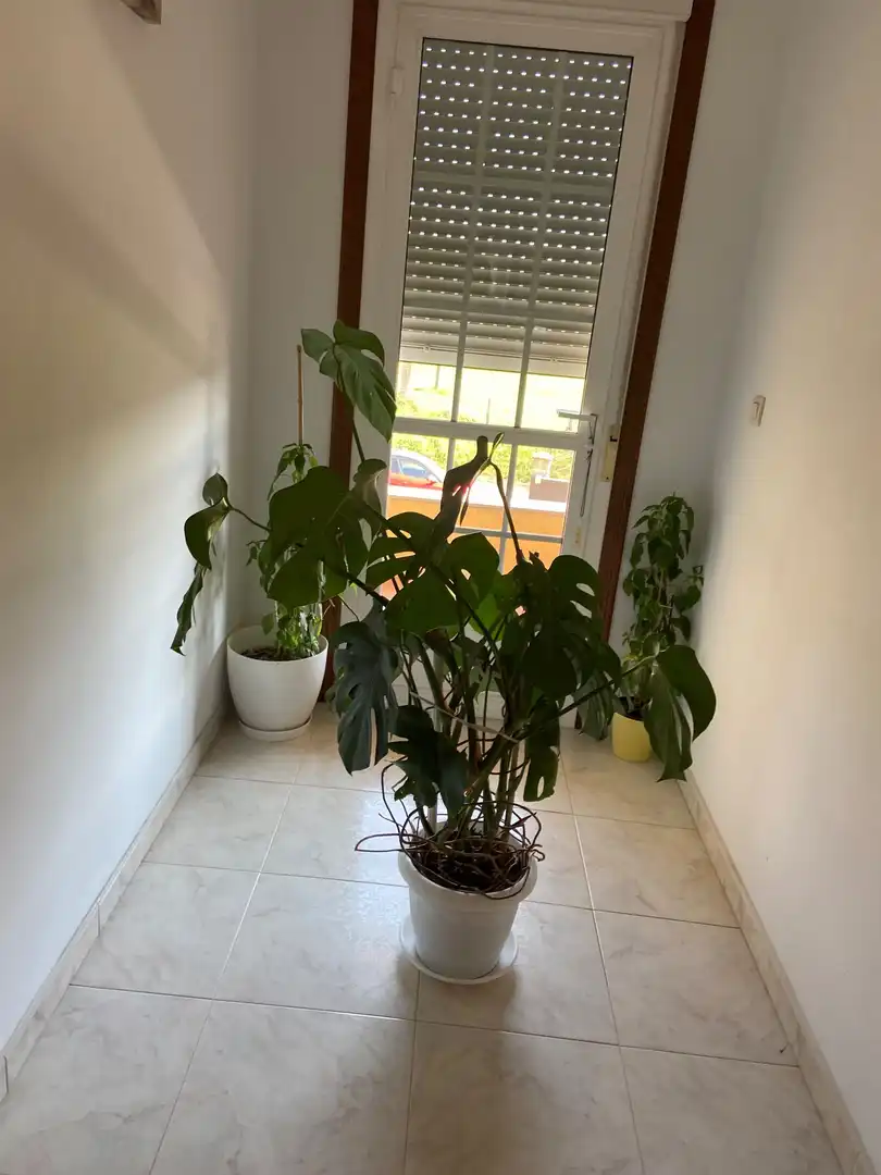 Casa en venta en Lalín, imagen 76