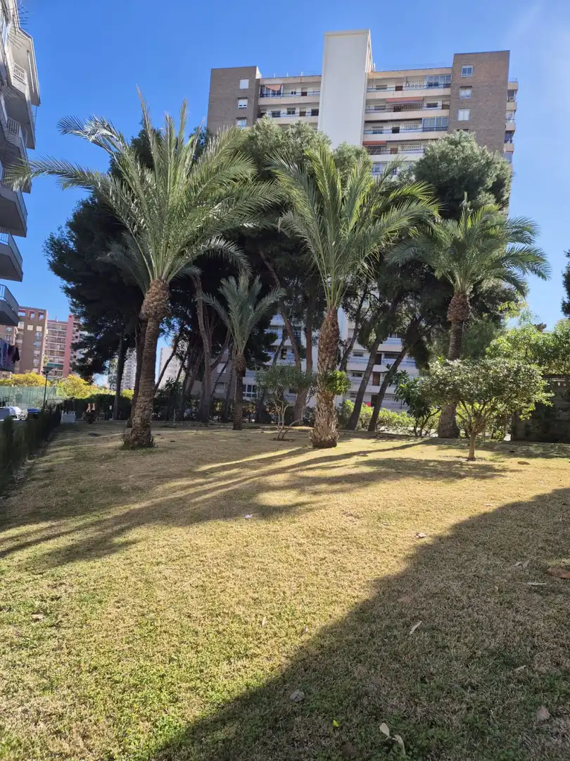 Pis amb piscina en venda a Playa de San Juan - El Cabo de las Huertas, imagen 26
