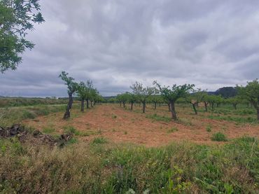 Terreno rústico en venta en El Pinell de Brai