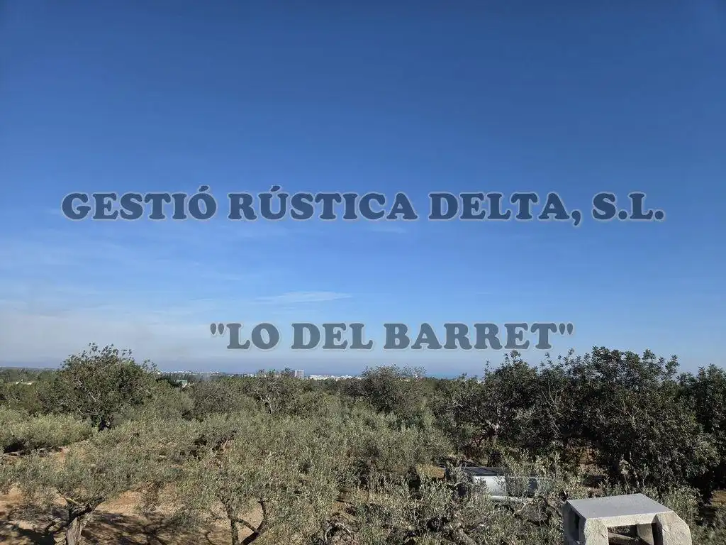 Finca rústica en venda en L'Ampolla amb Terrassa