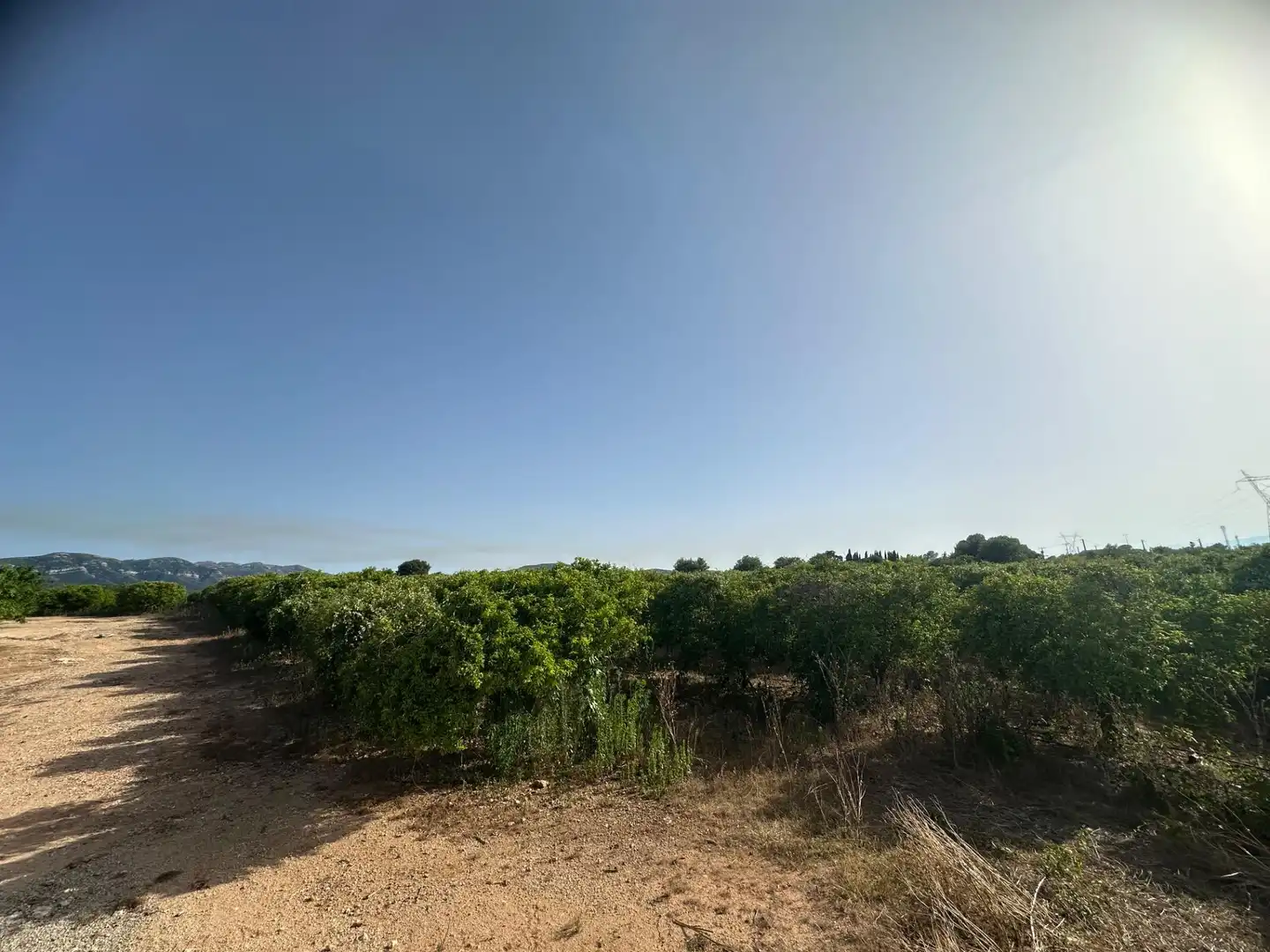 Rural land for sale in Masdenverge, imagen 16