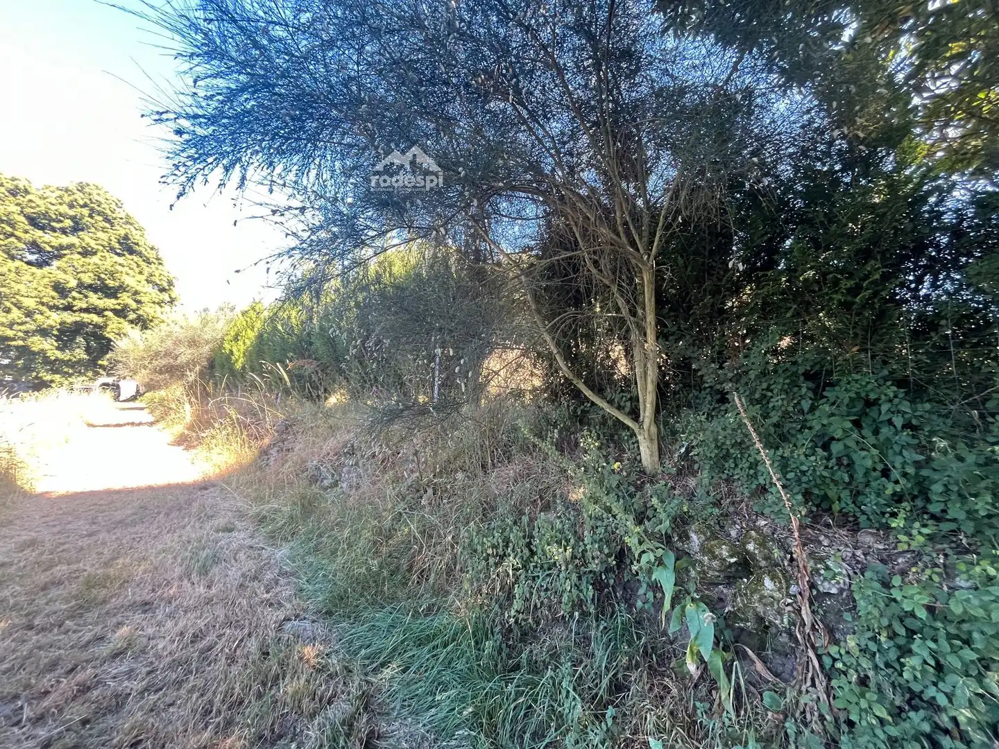 Casa o chalet en venta en Piñor con Trastero y Amueblado