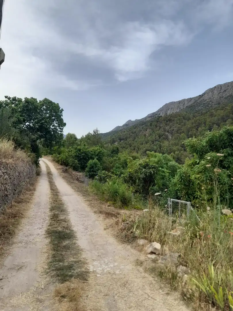 Rustikales Grundstück zum Verkauf in El Castell de Guadalest, imagen 2