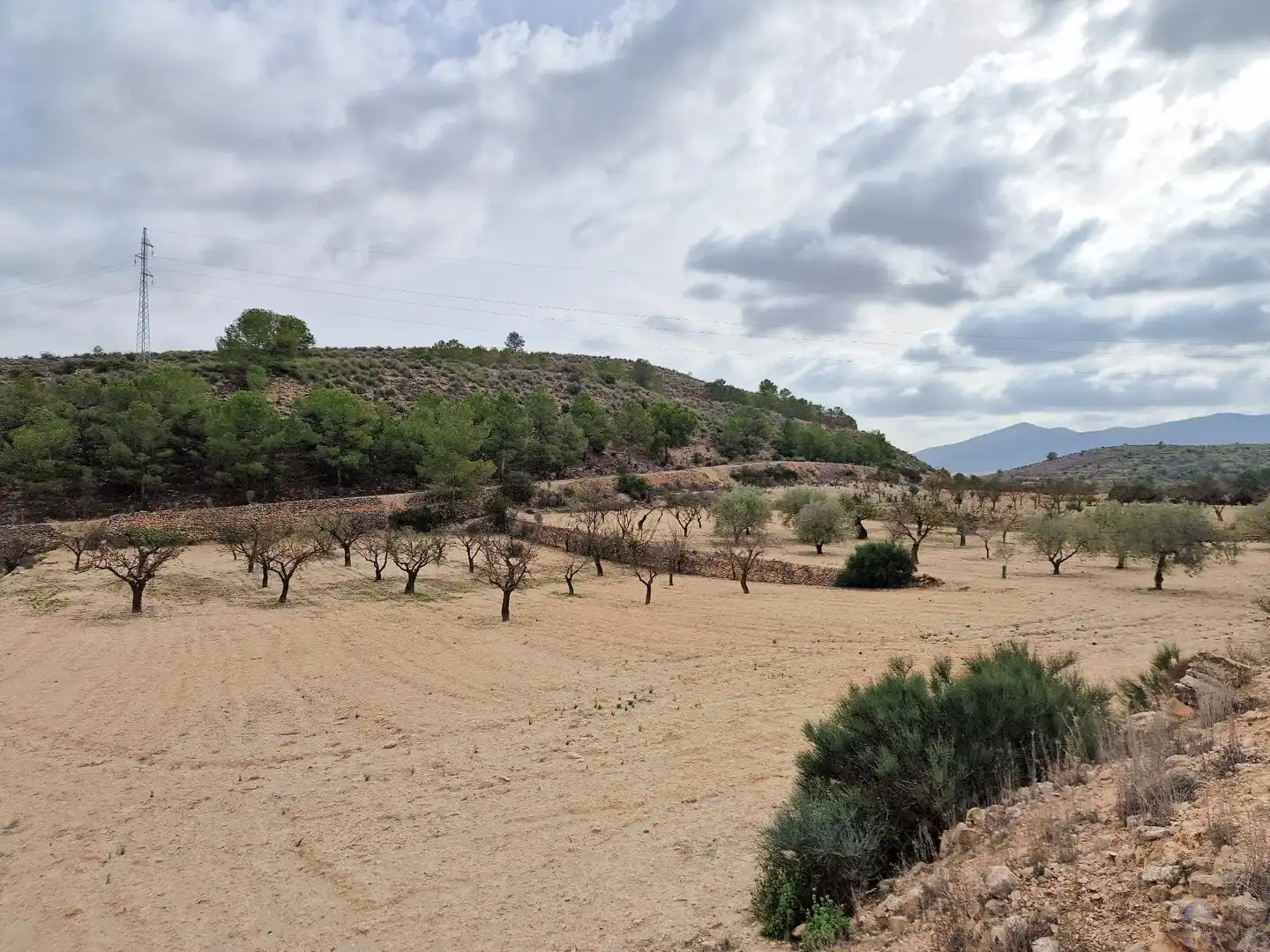 Villa in vendita a Monóvar  / Monòver, imagen 4