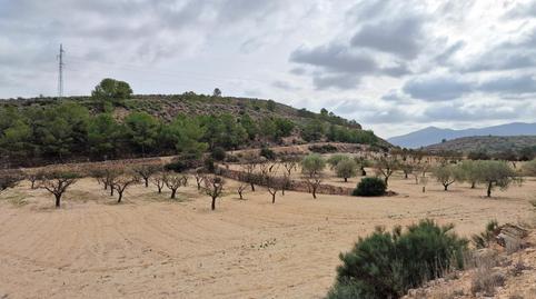 Foto 4 de Casa o xalet en venda a Monóvar  / Monòver, Alicante