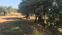 Land for sale in La Garriga