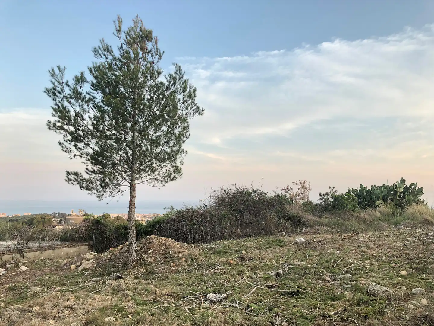 Wohnbaugrundstück zum Verkauf in Segur de Dalt, imagen 13