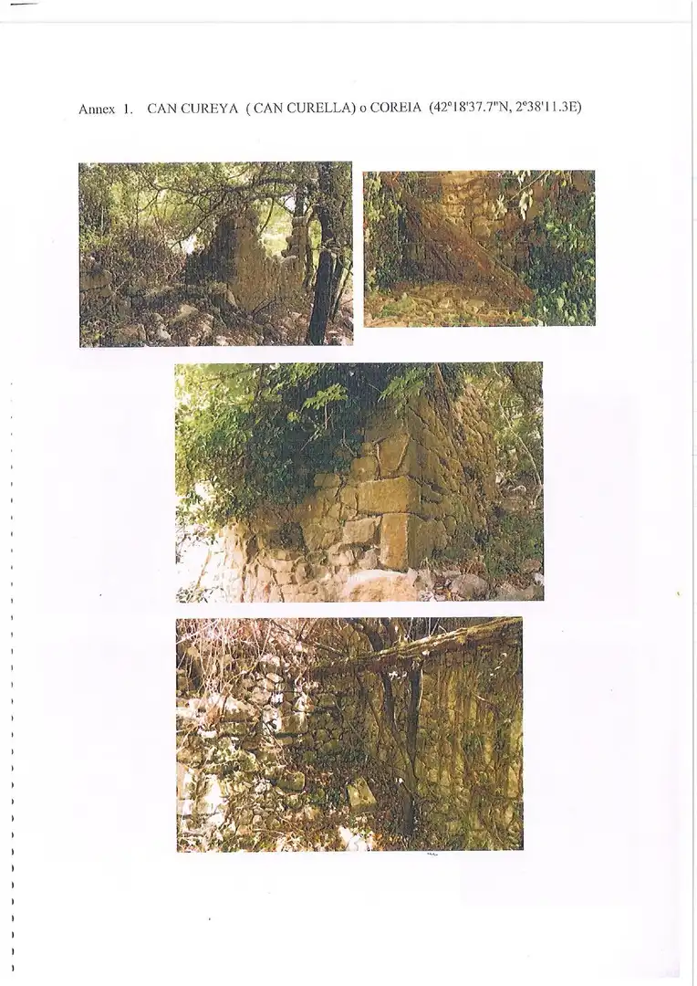 Vista exterior de Finca rústica en venta en Albanyà con Jardín privado, Terraza y Trastero