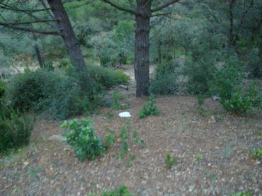 Terrenos y solares en venta en Serra Brava