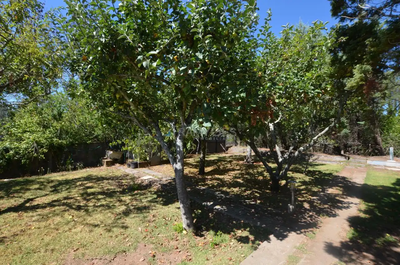 Garden of Detached homes for sale in Tui  with Heating, Private garden and Terrace