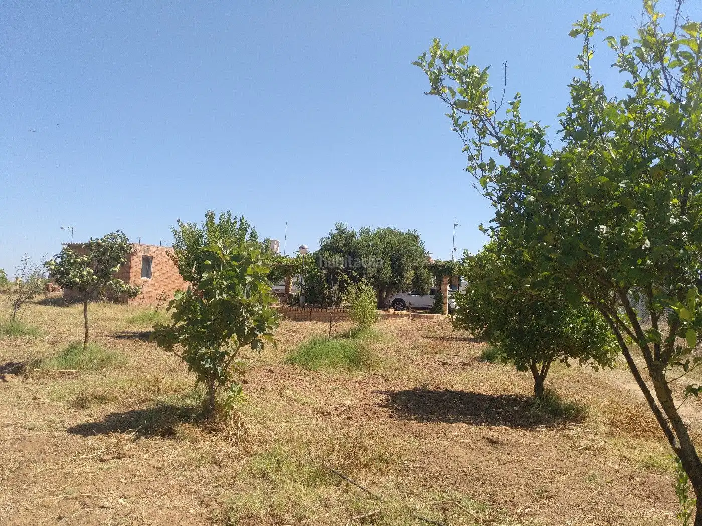Terrenos y solares en venta en Finca la Calvilla 8, imagen 6